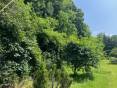IMG_4761.jpeg