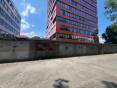 IMG_4831.jpeg