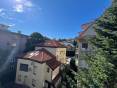 IMG_5546.jpeg