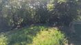 DJI_20260513163916_0011_D.jpeg