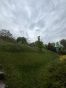 IMG_7976.jpeg