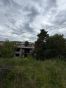 IMG_7975.jpeg