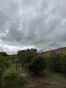 IMG_8127.jpeg