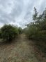 IMG_8115.jpeg