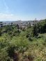 IMG_8266.jpeg