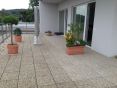 IMG_1844.jpeg