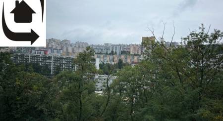 IMG_5701.jpeg
