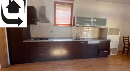 IMG_8715.jpeg IMG_8715.jpeg