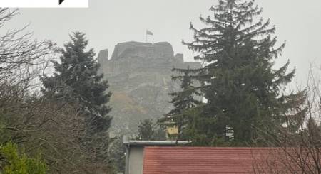 IMG_6230.jpeg IMG_6230.jpeg