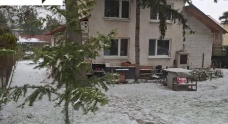 PastedGraphic-2.jpeg PastedGraphic-2.jpeg