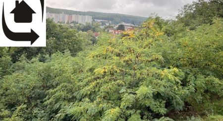 IMG_5698.jpeg